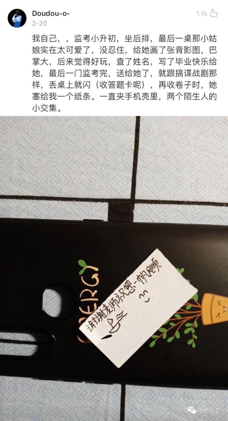 逃离野猫森林