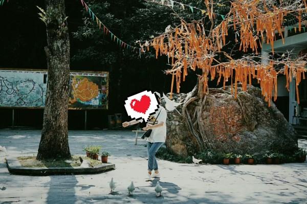 沪江开心词场