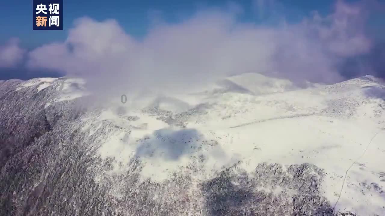 逃离冰淇淋岛屿