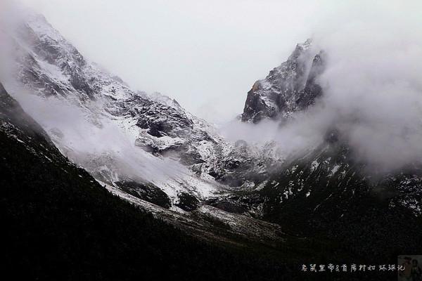 【灭绝巨兽与今天的亲戚】宽额鹿驼鹿