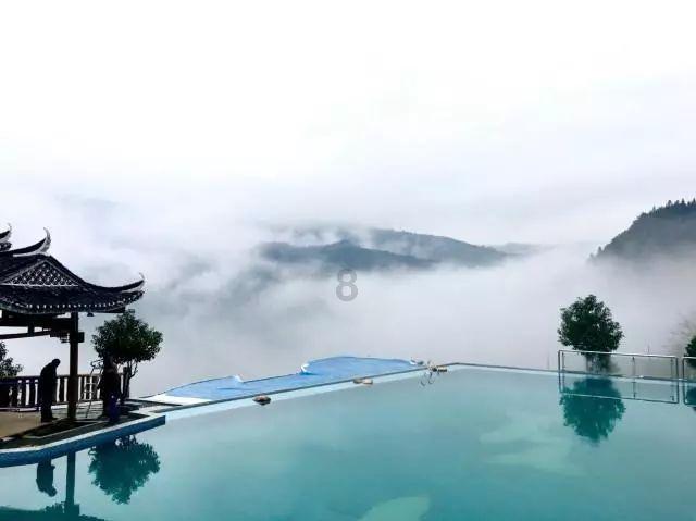 动物帮帮忙保卫家园