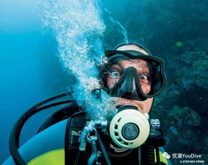 腐草化萤
