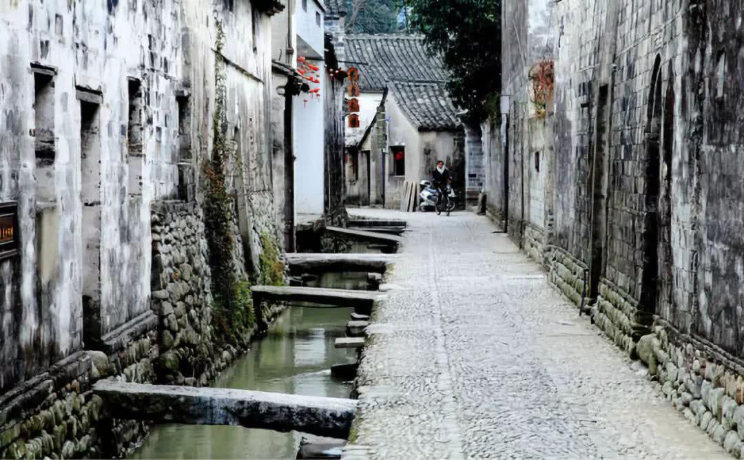 小狗救援行动选关版