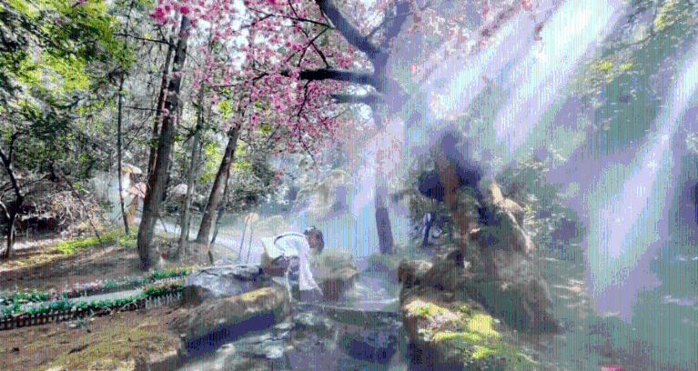月光影视
